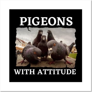 Pigeons With Attitude Posters and Art